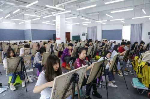 郑州画室专升本