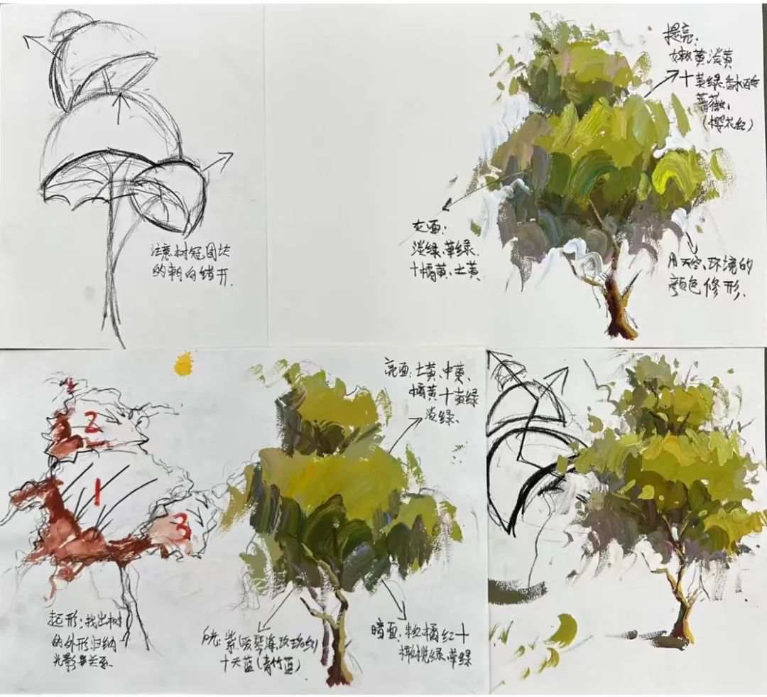河南画室
