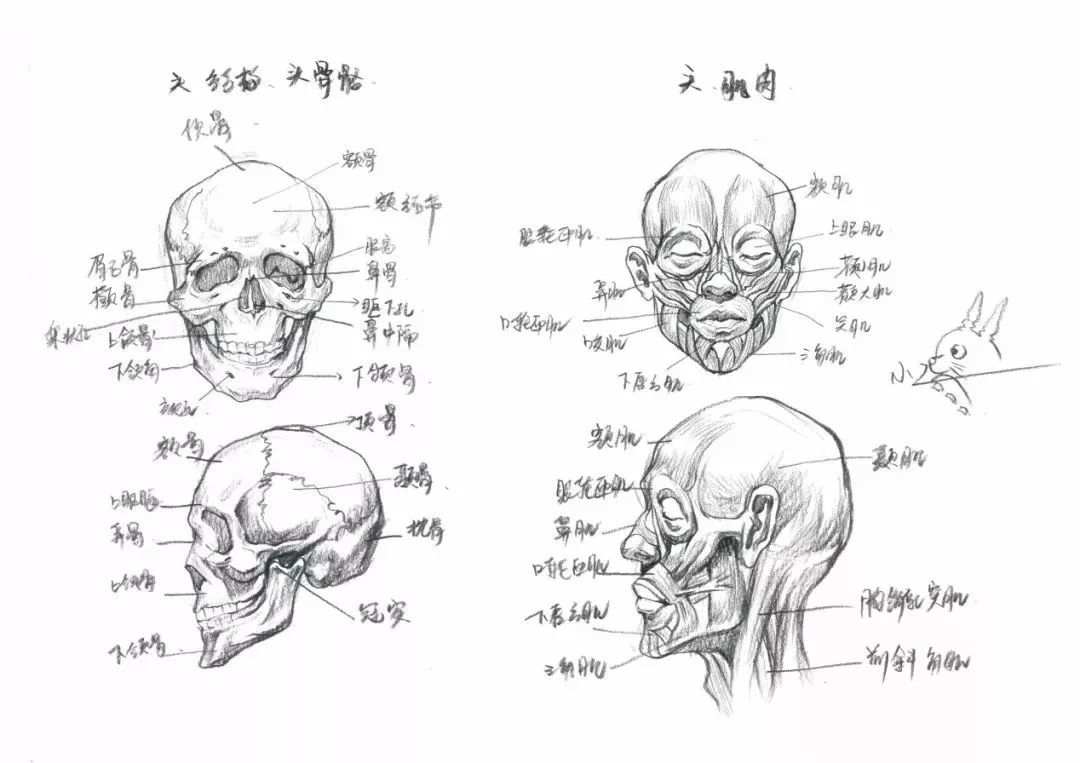 郑州美术培训班