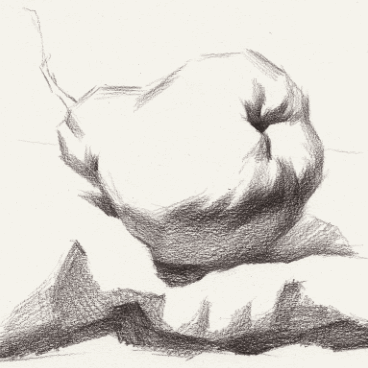 郑州画室